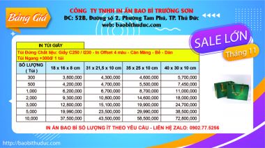 TÚI GIẤY CÓ NẮP/ NẮP GẬP Với hình dáng độc đáo