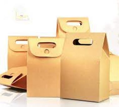 TÚI GIẤY CÓ NẮP/ NẮP GẬP Với hình dáng độc đáo